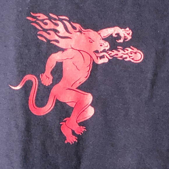 Fruit of the Loom Other - Large Fireball Flavor Whiskey Long sleeve T-Shirt